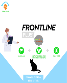 FRONTLINE Plus Flea & Tick Treatment for Cats and Ferrets